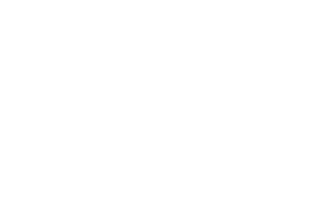 Wella Colour logo